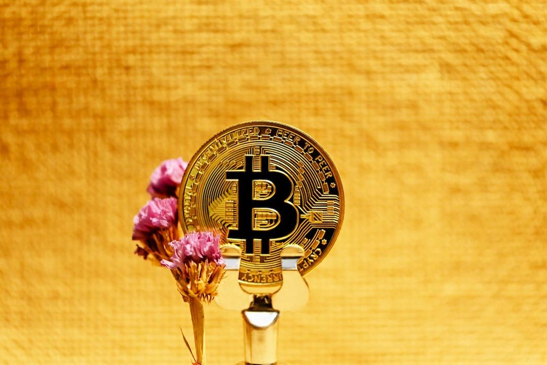 BONK Price Increases by Over 55% in a Week as Traders Reengage with Memecoins