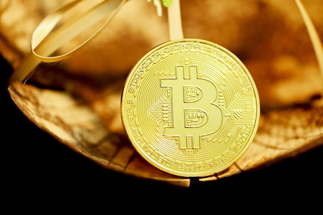 Teen Cryptocurrency Investor Loses $6 Billion in Bitcoin, Followed by an Incredible Turn of Events
